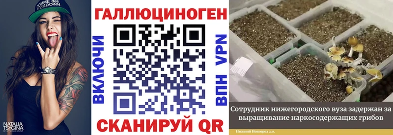 Галлюциногенные грибы мухоморы  сколько стоит  Ворсма 