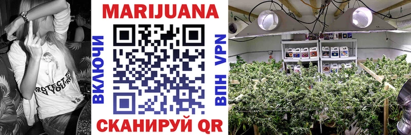 Конопля SATIVA & INDICA Ворсма